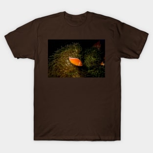 Anemone House T-Shirt